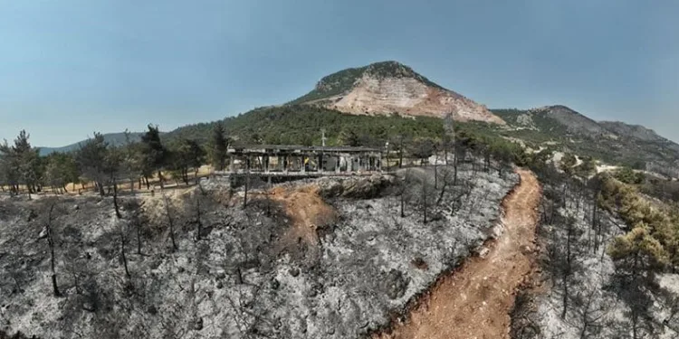 Bursa’nın yangından önceki ve sonraki hali