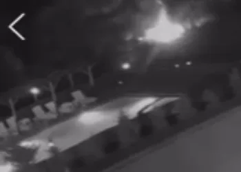 Havai fişekle yangın çıkaranlara ağaç dikme cezası