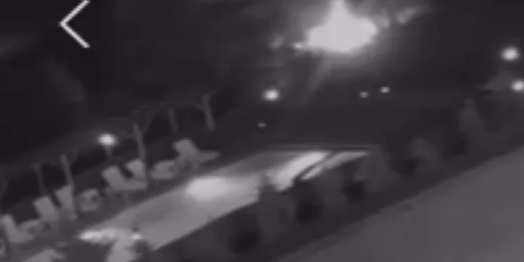 Havai fişekle yangın çıkaranlara ağaç dikme cezası