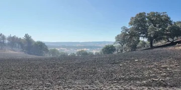 Kütahya’daki orman yangını kontrol altına alındı