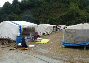Mevsimlik tarım işçileri fındık hasadı için Ordu’da