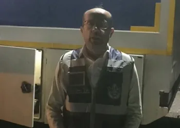 Festivalin bütçesi, ormanları yeşillendirecek