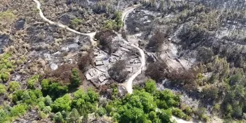 Orman yangınında köyün bir mahallesi yok oldu
