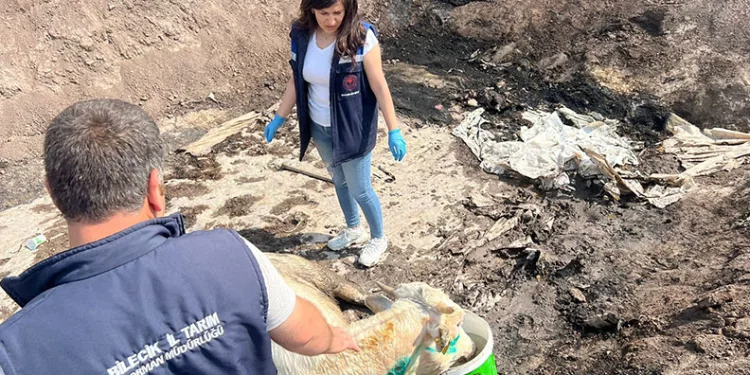 Bilecik’te acı bilanço ortaya çıktı
