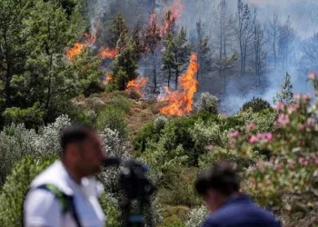 İzmir’de orman yangınları sürüyor