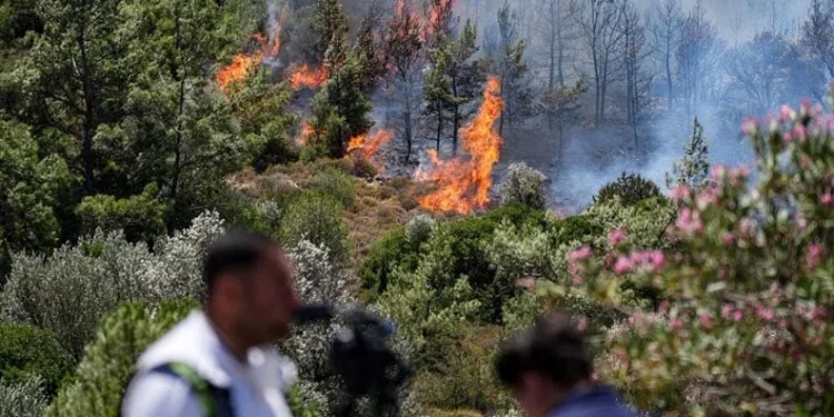 İzmir’de orman yangınları sürüyor