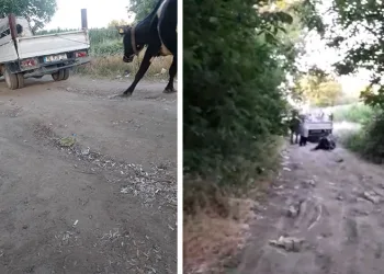 Vicdanı Olan Bunu Yapmaz!