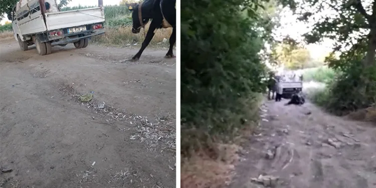 Vicdanı Olan Bunu Yapmaz!