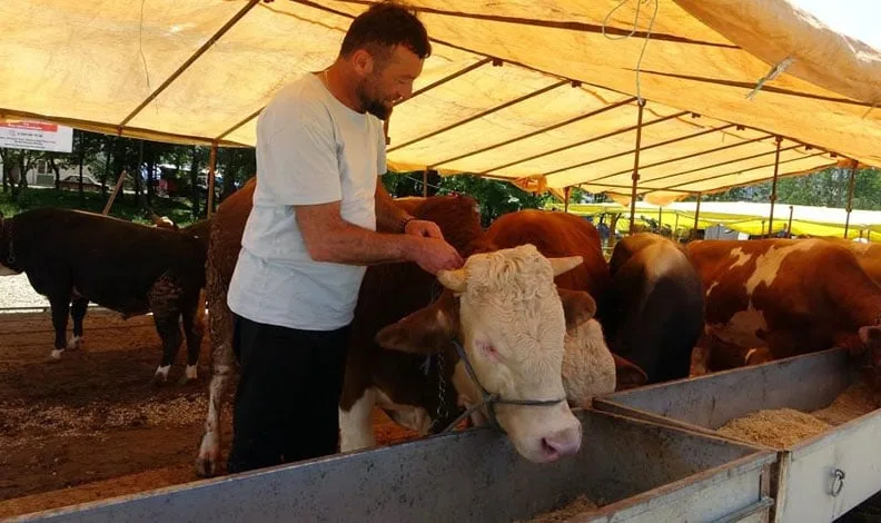 Ülke genelinde tüm hayvan pazarları kapatıldı