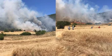 Yenişehir’de buğday tarlasında çıkan yangın ormana sıçradı