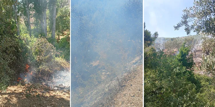 İznik’te orman yangını büyümeden söndürüldü