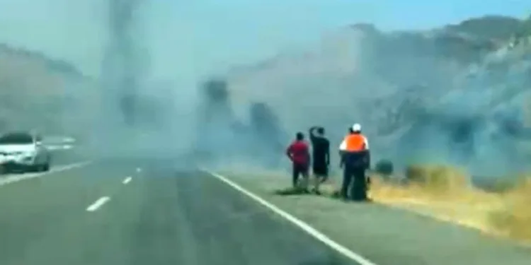 Siirt’te ağaçlık alanda yangın çıktı