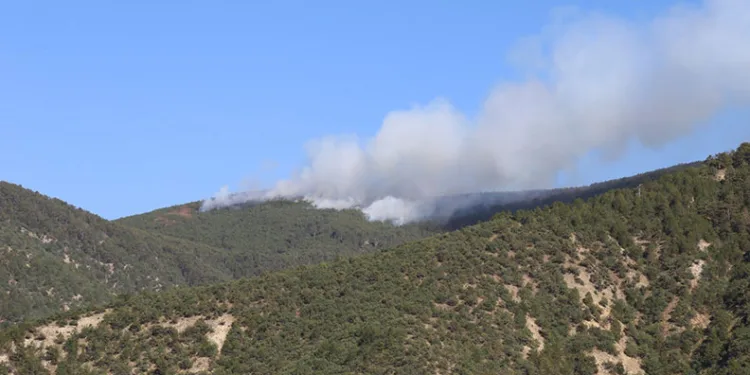 Kastamonu’da orman yangını