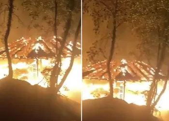 Bursa’da piknikçilerin bıraktığı ateş ormanı küle çeviriyordu