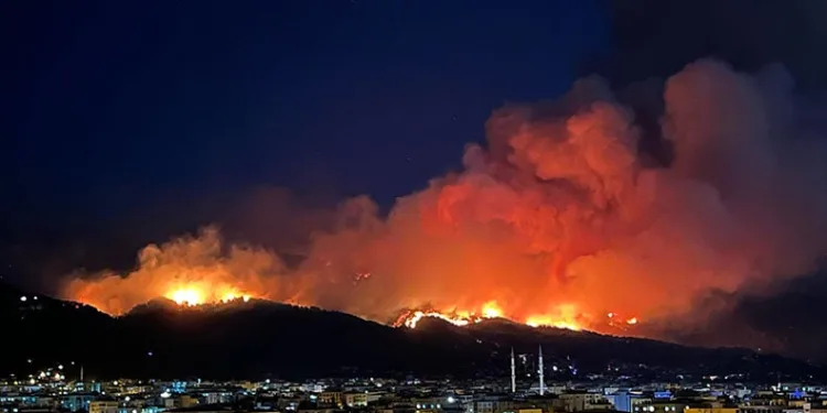 Hatay’da orman yangınıyla ilgili 1 kişi tutuklandı