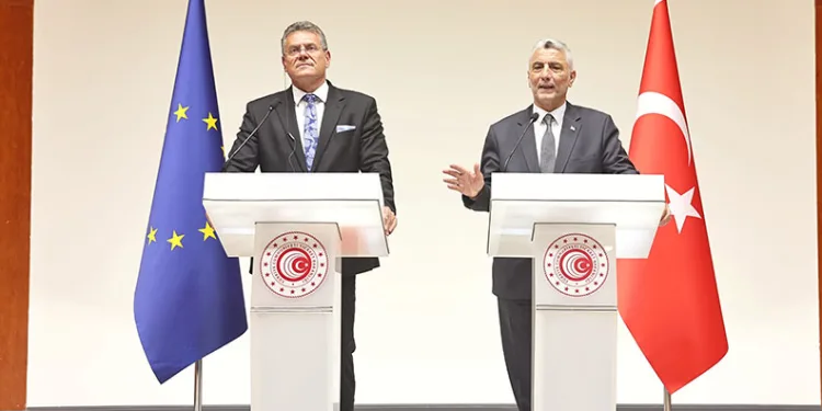 “AB Gümrük Birliği’nin güncellenmesi bir tercih değil bir zorunluluktur”