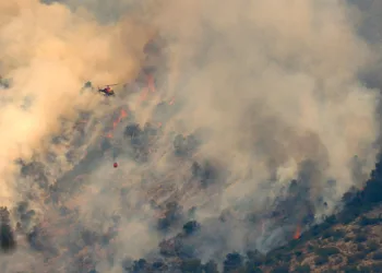 İspanya’da orman yangını