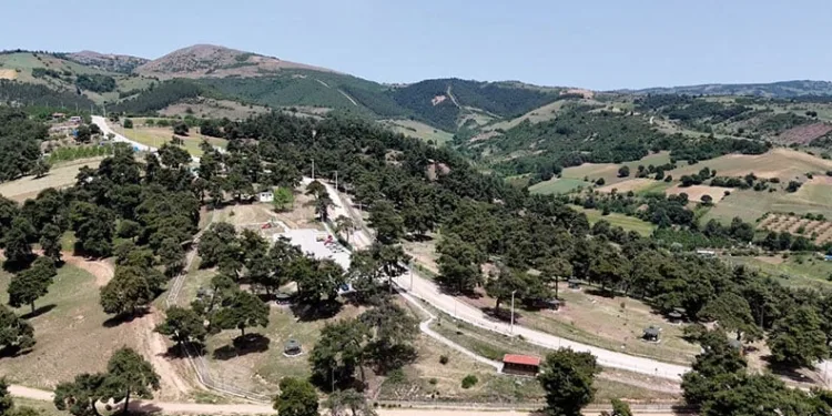 Kozdere Çamlığı’nda gönül rahatlığıyla piknik yapılabilir