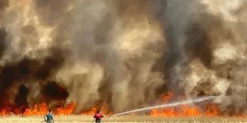 Elazığ’da arazi yangını: Ekili alanlar da küle döndü