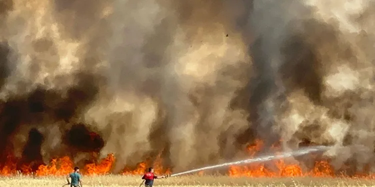 Elazığ’da arazi yangını: Ekili alanlar da küle döndü