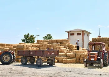 İş birliği projesi hayvancıya nefes oldu