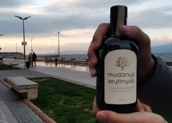 Avrupa’dan Mudanya’ya yoğun ilgi