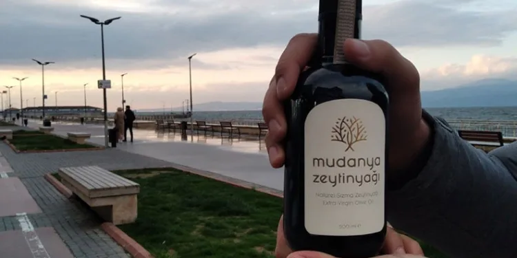 Avrupa’dan Mudanya’ya yoğun ilgi