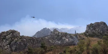 Hatay’da orman yangını