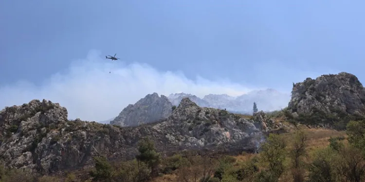 Hatay’da orman yangını