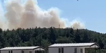 Urla’da makilik alanda korkutan yangın