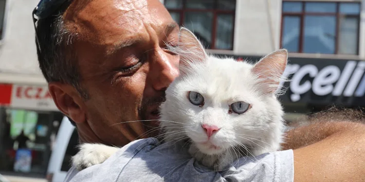 Kayıp kedisine günler sonra kavuştu