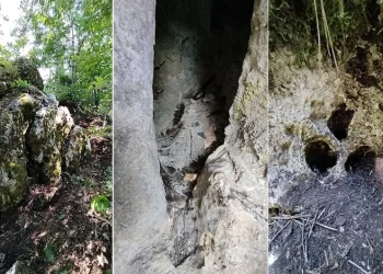 Bursa’da kaçak kazıya suçüstü
