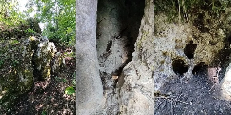 Bursa’da kaçak kazıya suçüstü