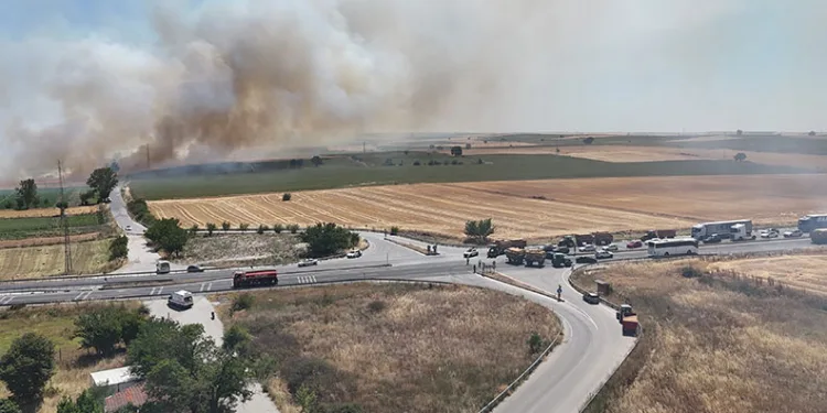 Edirne-Havsa arasında anızda çıkan yangın yolu kapladı