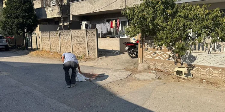 Tartıştığı babasını pompalı tüfekle vurarak ağır yaraladı