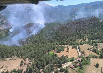 Isparta’daki yangında 20 hektar alan zarar gördü