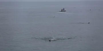 15 Temmuz için Karadeniz’de 4 kilometre boyunca yüzdüler