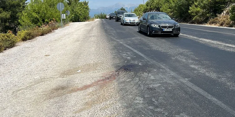 Hafif ticari araç bariyerlere ok gibi saplandı 2 kişi hayatını kaybetti