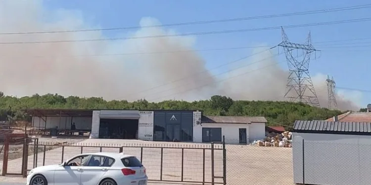 Kocaeli’de ormanlık alanda yangın çıktı
