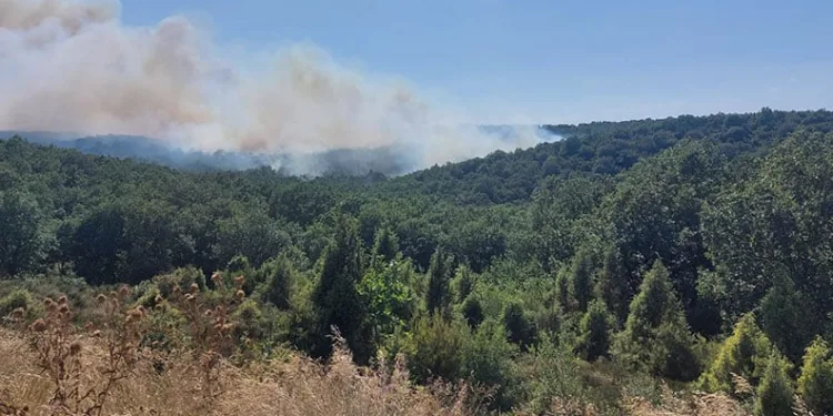 Gebze’deki orman yangınını söndürme çalışmaları sürüyor