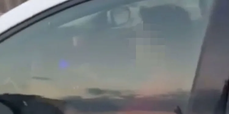 Küçük çocuğuna otomobil kullandıran babaya 18 bin TL ceza