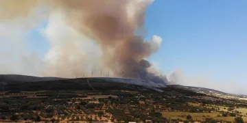 Şarköy’deki orman yangını sürüyor