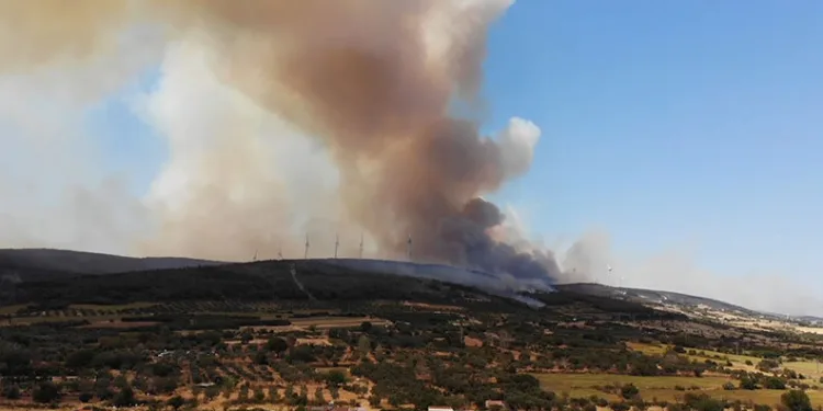 Şarköy’deki orman yangını sürüyor