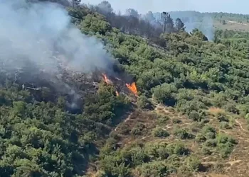 Sultangazi Kent Ormanı’ndan yangın