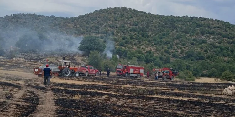 Ormana sıçrayan anız yangını korkuttu