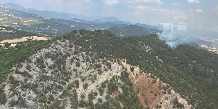 Bolu’da orman yangını