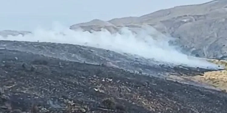 Elazığ’da arazi yangını
