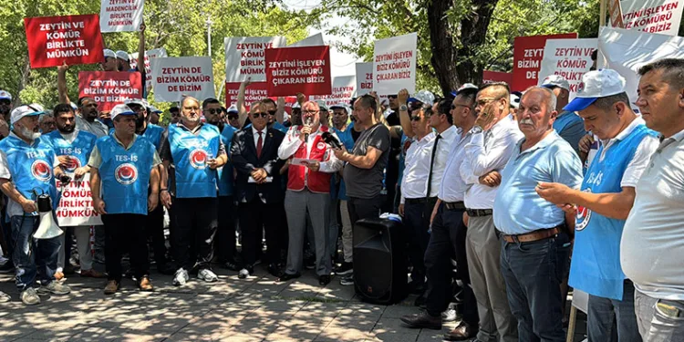 Enerji torba yasasından köylüye müjde çıktı
