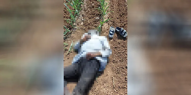 Şanlıurfa’da mısır tarlasında erkek cesedi bulundu
