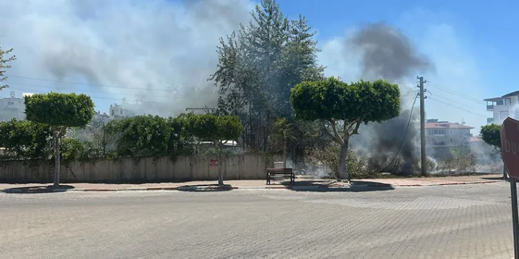 Manavgat’ta çıkan çalılık yangını korkuttu